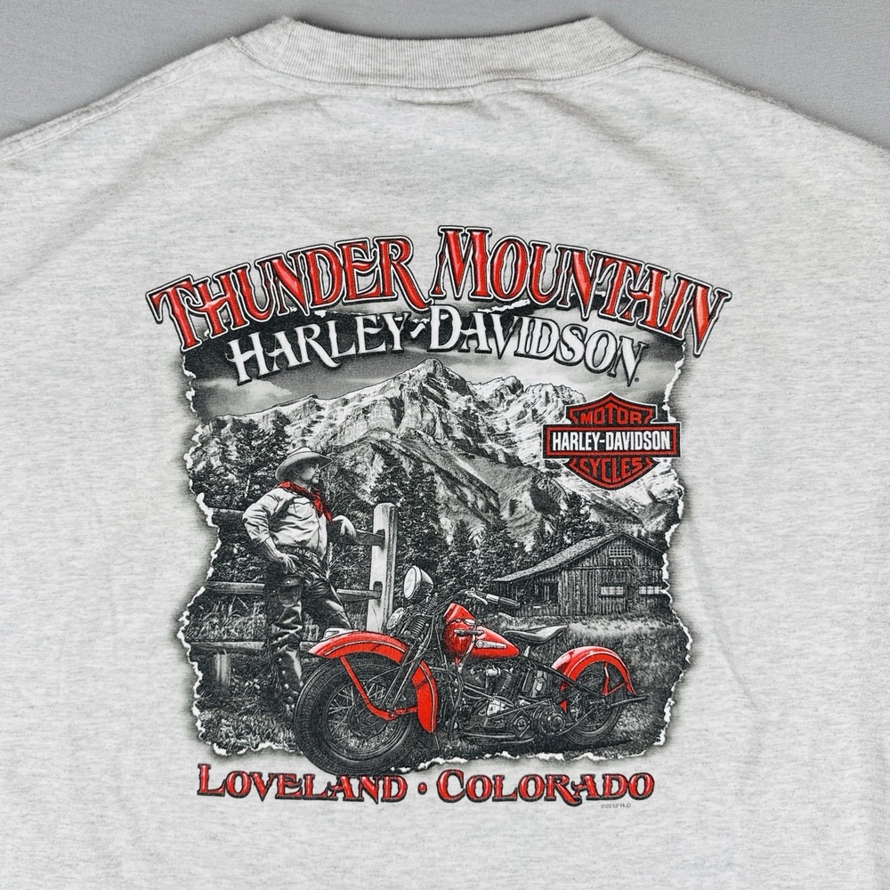 Harley Davidson Thunder Mountain T Shirt Loveland Colorado Pocket Logo L - Picture 1 of 12
